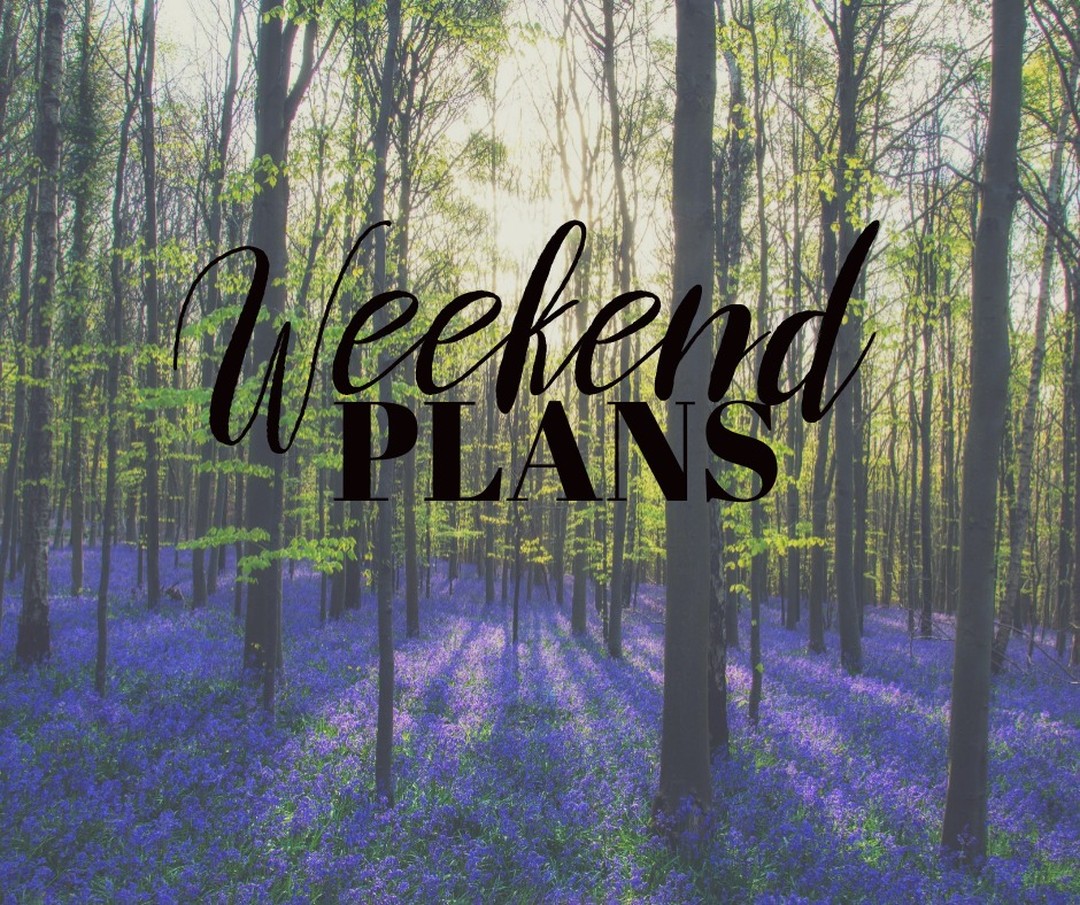 So glad it’s finally Saturday!

Are you catching up on any reading this weekend, or do you have other fun plans? Let me know in the comments (and if you’re reading, drop a book recommendation, too)!

#Plans #WeekendPlans #NothingButReading #ReadingDay #CurrentRead #CurrentReads #BookLover #Bookstagram #TBR